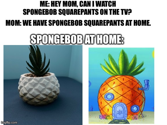 Hmmm… this looks a little sussy, or should I say, “spongey”? | ME: HEY MOM, CAN I WATCH SPONGEBOB SQUAREPANTS ON THE TV? MOM: WE HAVE SPONGEBOB SQUAREPANTS AT HOME. SPONGEBOB AT HOME: | image tagged in blank white template | made w/ Imgflip meme maker