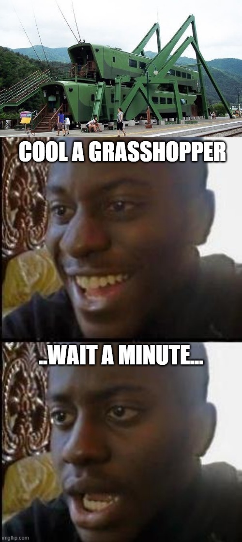 LOOK HARDER | COOL A GRASSHOPPER; ..WAIT A MINUTE... | image tagged in disappointed black guy,wtf,fail,grasshopper | made w/ Imgflip meme maker