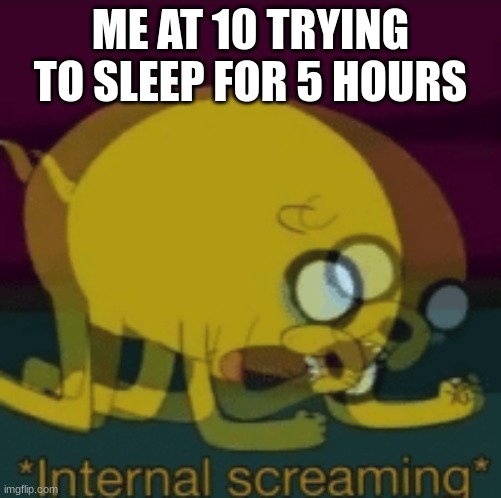 Jake The Dog Internal Screaming | ME AT 10 TRYING TO SLEEP FOR 5 HOURS | image tagged in jake the dog internal screaming | made w/ Imgflip meme maker