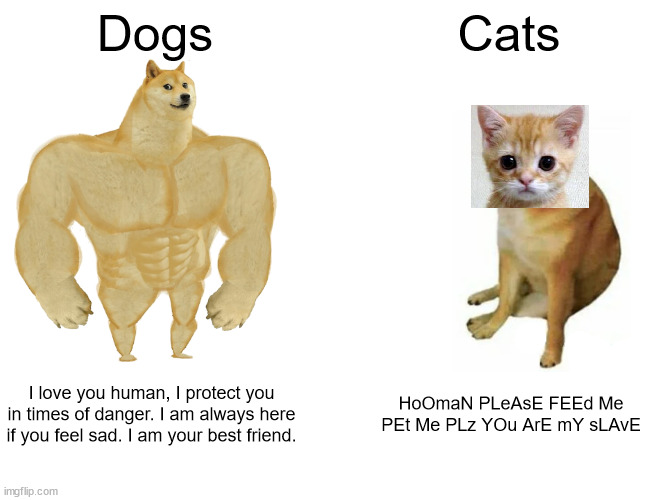 STOP SAYING CATS ARE BETTER THAN DOGS | Dogs; Cats; I love you human, I protect you in times of danger. I am always here if you feel sad. I am your best friend. HoOmaN PLeAsE FEEd Me PEt Me PLz YOu ArE mY sLAvE | image tagged in memes,buff doge vs cheems,cats are terrible,dogs are awesome,dogs,cats | made w/ Imgflip meme maker