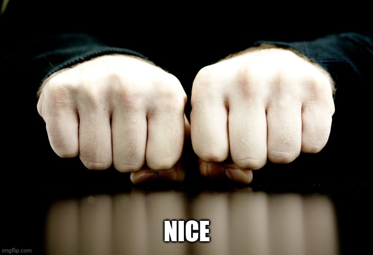 Knuckles | NICE | image tagged in knuckles | made w/ Imgflip meme maker