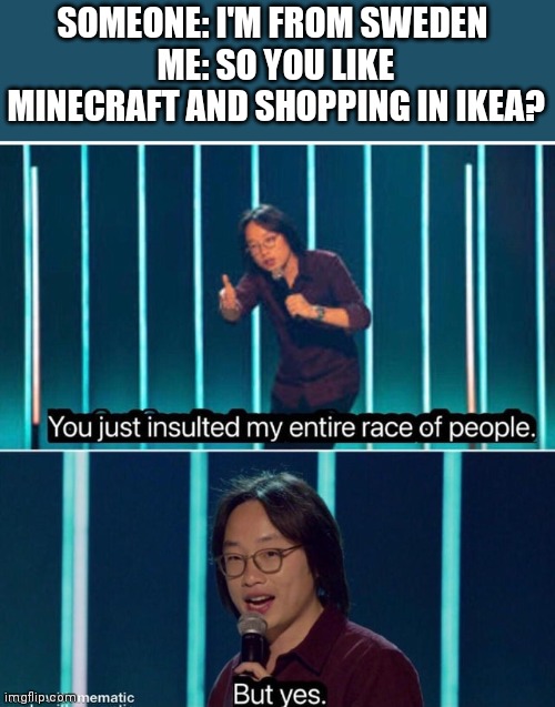 You just insulted my entire race of people |  SOMEONE: I'M FROM SWEDEN 
ME: SO YOU LIKE MINECRAFT AND SHOPPING IN IKEA? | image tagged in you just insulted my entire race of people,memes,funny,minecraft,ikea,sweden | made w/ Imgflip meme maker