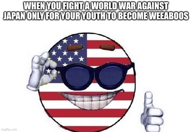 Usa picardia | WHEN YOU FIGHT A WORLD WAR AGAINST JAPAN ONLY FOR YOUR YOUTH TO BECOME WEEABOOS | image tagged in usa picardia | made w/ Imgflip meme maker