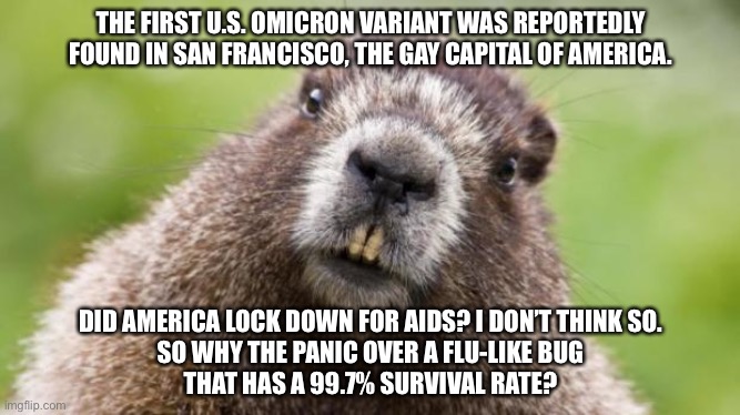 AIDS vs COVID | THE FIRST U.S. OMICRON VARIANT WAS REPORTEDLY FOUND IN SAN FRANCISCO, THE GAY CAPITAL OF AMERICA. DID AMERICA LOCK DOWN FOR AIDS? I DON’T THINK SO.
SO WHY THE PANIC OVER A FLU-LIKE BUG
THAT HAS A 99.7% SURVIVAL RATE? | image tagged in mr beaver,memes,gay,covid,san francisco,america | made w/ Imgflip meme maker