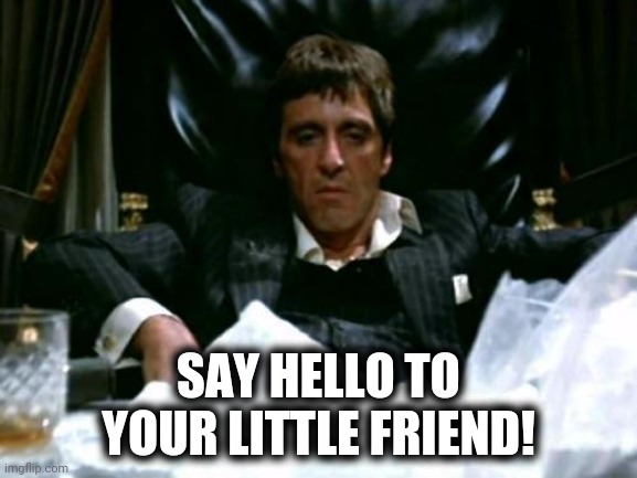 Scarface Cocaine | SAY HELLO TO YOUR LITTLE FRIEND! | image tagged in scarface cocaine | made w/ Imgflip meme maker