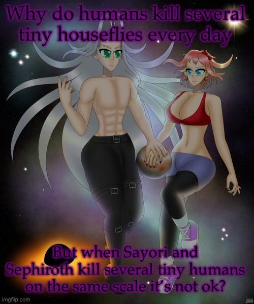 Reversed trend | Why do humans kill several tiny houseflies every day; But when Sayori and Sephiroth kill several tiny humans on the same scale it’s not ok? | image tagged in sayori and sephiroth | made w/ Imgflip meme maker