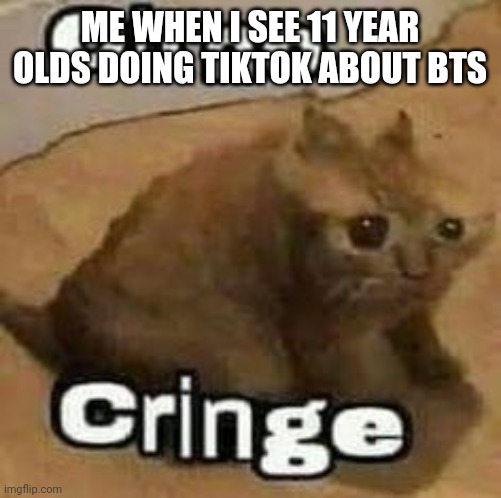 oH nO cRInGe | ME WHEN I SEE 11 YEAR OLDS DOING TIKTOK ABOUT BTS | image tagged in oh no cringe | made w/ Imgflip meme maker
