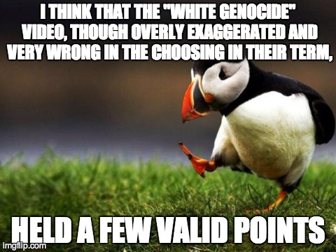 Unpopular Opinion Puffin | I THINK THAT THE "WHITE GENOCIDE" VIDEO, THOUGH OVERLY EXAGGERATED AND VERY WRONG IN THE CHOOSING IN THEIR TERM, HELD A FEW VALID POINTS | image tagged in memes,unpopular opinion puffin | made w/ Imgflip meme maker