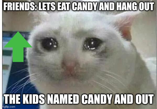 please upvote and comment i love to read your comments! xx | FRIENDS: LETS EAT CANDY AND HANG OUT; THE KIDS NAMED CANDY AND OUT | image tagged in crying cat | made w/ Imgflip meme maker