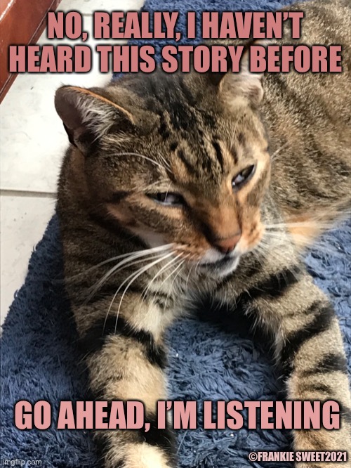 No, really, I haven’t heard this story before | NO, REALLY, I HAVEN’T HEARD THIS STORY BEFORE; GO AHEAD, I’M LISTENING; ©FRANKIE SWEET2021 | image tagged in listening,story,storyteller,ears,cat,pets | made w/ Imgflip meme maker