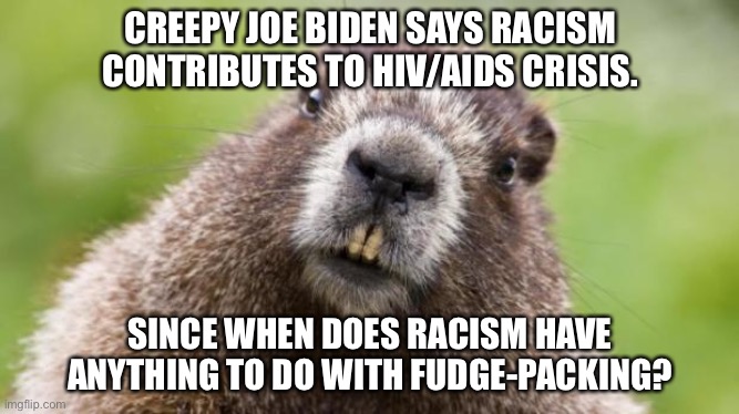 Joe Biden is conflating racism with sexual activity |  CREEPY JOE BIDEN SAYS RACISM CONTRIBUTES TO HIV/AIDS CRISIS. SINCE WHEN DOES RACISM HAVE ANYTHING TO DO WITH FUDGE-PACKING? | image tagged in mr beaver,memes,joe biden,racist,sexual,aids | made w/ Imgflip meme maker