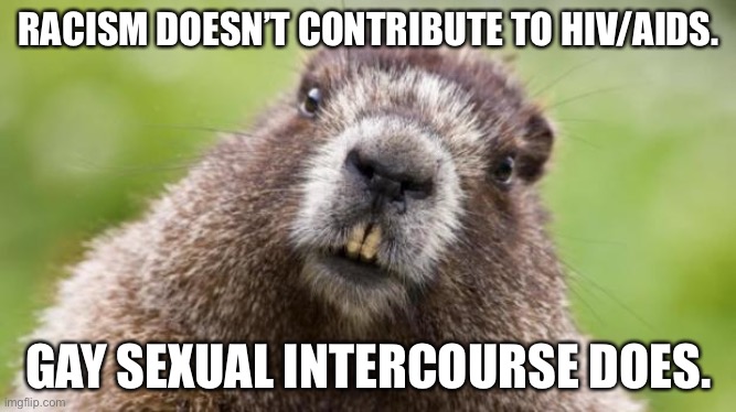 STDs do not discriminate based on skin color. Just foreskin and holes. |  RACISM DOESN’T CONTRIBUTE TO HIV/AIDS. GAY SEXUAL INTERCOURSE DOES. | image tagged in mr beaver,memes,joe biden,aids,covid,liberal logic | made w/ Imgflip meme maker