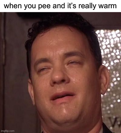 Love it | when you pee and it’s really warm | image tagged in tom hanks,funny | made w/ Imgflip meme maker