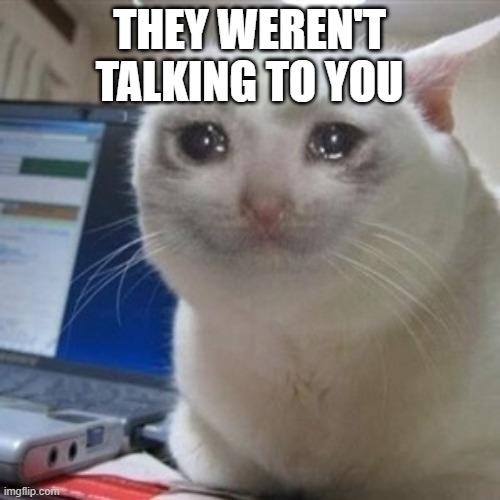 Crying cat | THEY WEREN'T TALKING TO YOU | image tagged in crying cat | made w/ Imgflip meme maker