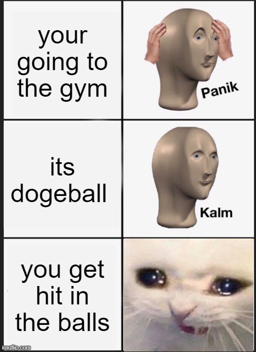 aaaaaaaaaaaaaaaaaaaaaaa | your going to the gym; its dogeball; you get hit in the balls | image tagged in memes,panik kalm panik | made w/ Imgflip meme maker