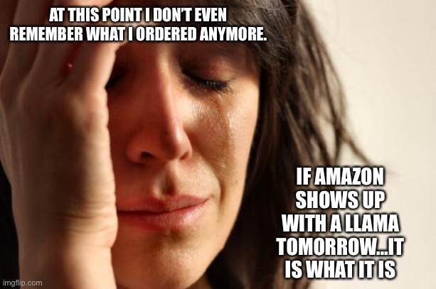 Online shopping | AT THIS POINT I DON’T EVEN REMEMBER WHAT I ORDERED ANYMORE. IF AMAZON SHOWS UP WITH A LLAMA TOMORROW…IT IS WHAT IT IS | image tagged in memes,first world problems,online shopping,christmas shopping | made w/ Imgflip meme maker