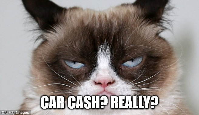 Cars cost money | CAR CASH? REALLY? | image tagged in cars cost money | made w/ Imgflip meme maker