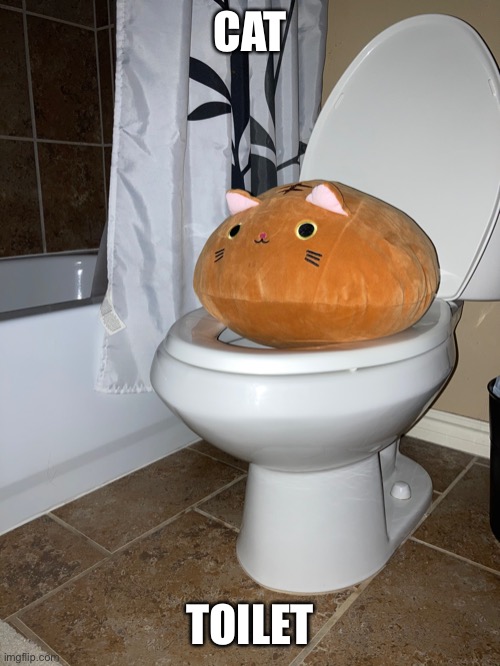 Cat toilet | CAT; TOILET | image tagged in meow | made w/ Imgflip meme maker