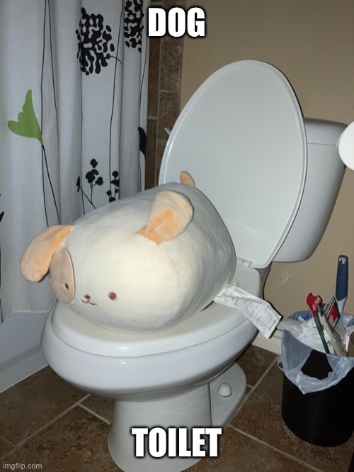 Dog toilet | DOG; TOILET | image tagged in meow | made w/ Imgflip meme maker