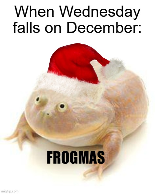 Frog |  When Wednesday falls on December:; FROGMAS | image tagged in wednesday frog blank,wednesday,christmas,december | made w/ Imgflip meme maker