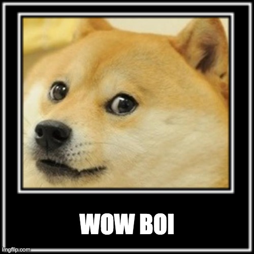 WHAT DOGE!? | WOW BOI | image tagged in memes | made w/ Imgflip meme maker