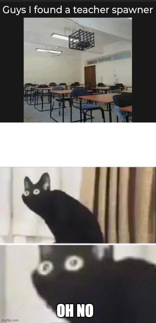 I do not want to be in that class | OH NO | image tagged in oh no black cat | made w/ Imgflip meme maker