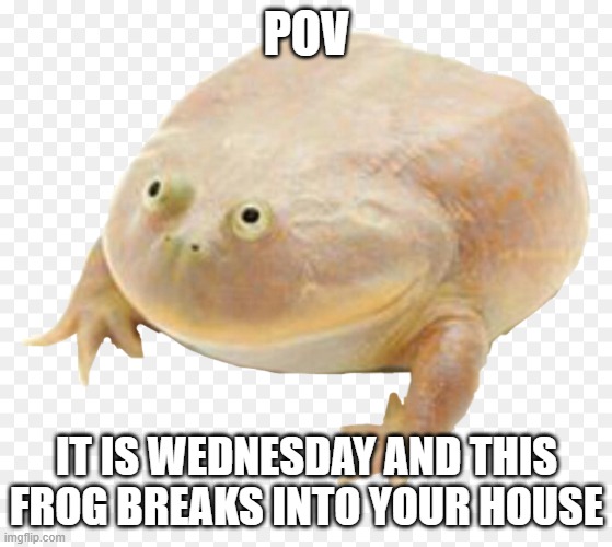 lol | POV; IT IS WEDNESDAY AND THIS FROG BREAKS INTO YOUR HOUSE | image tagged in it,is,wednesday,my,dudes,aaaaaaaaaaaaaaaaaaaaaaaaaaa | made w/ Imgflip meme maker