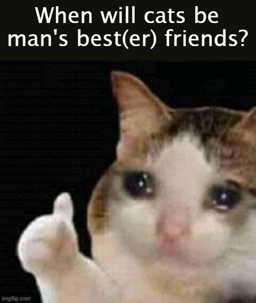 consider them as man's best(er) friends | When will cats be man's best(er) friends? | image tagged in sad thumbs up cat,cats,cat memes,memes,dogs are man's worst enemy | made w/ Imgflip meme maker