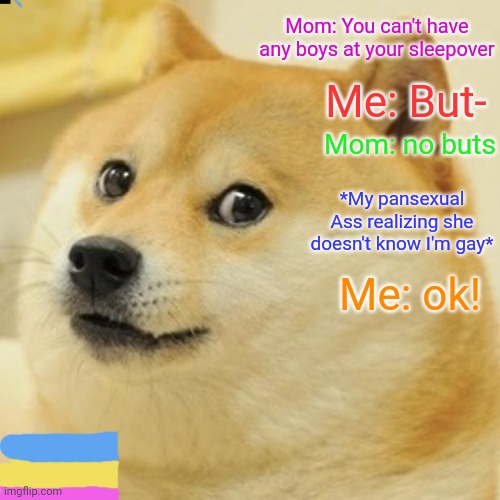 Doge | Mom: You can't have any boys at your sleepover; Me: But-; Mom: no buts; *My pansexual
Ass realizing she doesn't know I'm gay*; Me: ok! | image tagged in memes,doge,lgbtq | made w/ Imgflip meme maker