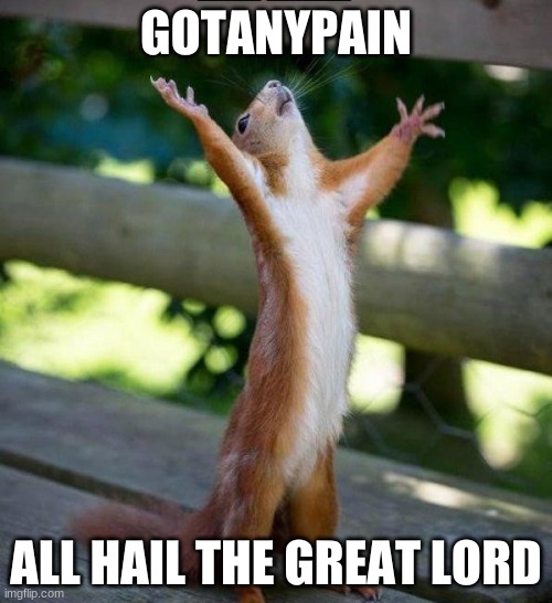 GOTANYPAIN IS MY FRIEND | GOTANYPAIN; ALL HAIL THE GREAT LORD | image tagged in all hail | made w/ Imgflip meme maker