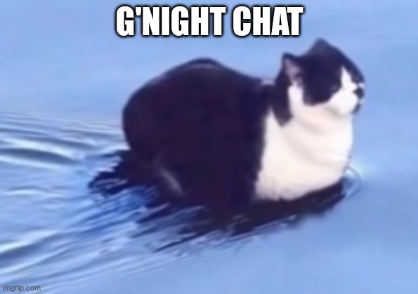 See you later! | G'NIGHT CHAT | image tagged in he be floatin | made w/ Imgflip meme maker