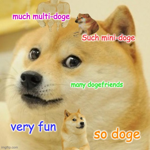 Doge Meme | much multi-doge; Such mini-doge; many dogefriends; very fun; so doge | image tagged in memes,doge | made w/ Imgflip meme maker