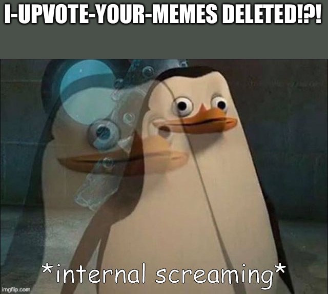 WTF WHY | I-UPVOTE-YOUR-MEMES DELETED!?! | image tagged in private internal screaming | made w/ Imgflip meme maker
