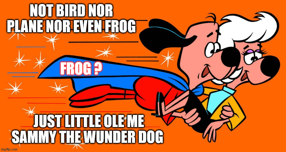 Underdog | NOT BIRD NOR PLANE NOR EVEN FROG; FROG ? JUST LITTLE OLE ME SAMMY THE WUNDER DOG | image tagged in underdog,sammy wunderdog | made w/ Imgflip meme maker