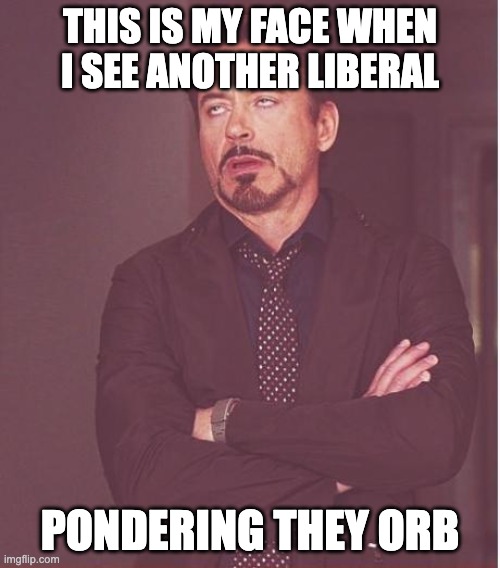 why are liberals obsessed with they orb??? | THIS IS MY FACE WHEN I SEE ANOTHER LIBERAL; PONDERING THEY ORB | image tagged in memes,face you make robert downey jr,pondering the orb,stop reading these bags | made w/ Imgflip meme maker