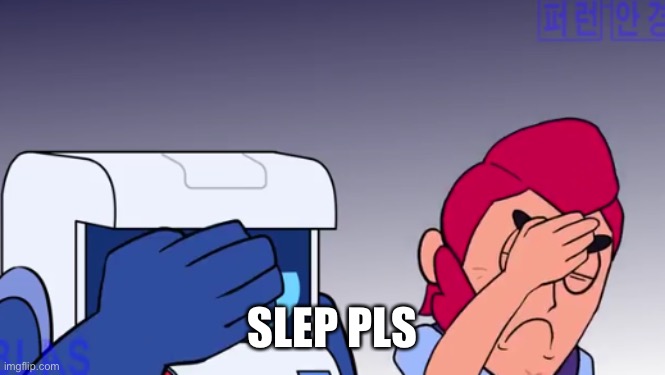 Face Palm | SLEP PLS | image tagged in face palm | made w/ Imgflip meme maker