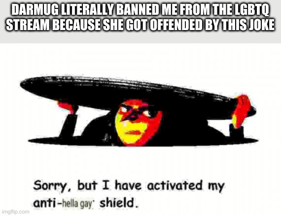DARMUG LITERALLY BANNED ME FROM THE LGBTQ STREAM BECAUSE SHE GOT OFFENDED BY THIS JOKE | made w/ Imgflip meme maker
