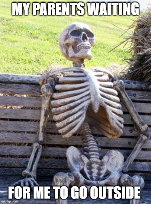my parents waiting for me to go outside | MY PARENTS WAITING; FOR ME TO GO OUTSIDE | image tagged in memes,waiting skeleton | made w/ Imgflip meme maker