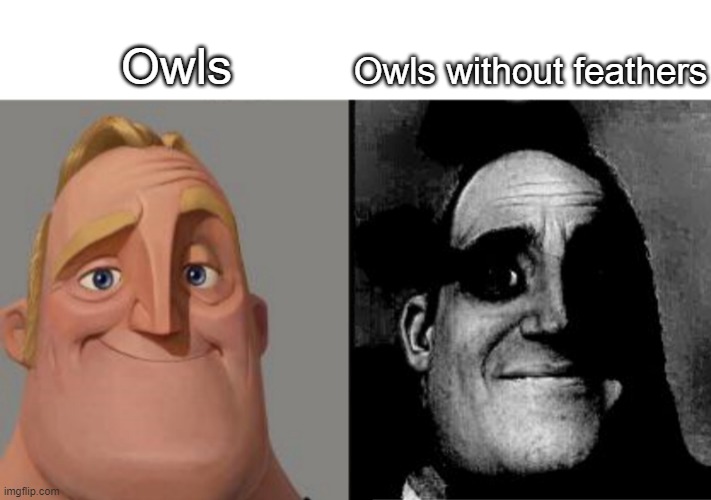 I suggest you don't find out how an owl without feathers looks like | Owls; Owls without feathers | image tagged in traumatized mr incredible | made w/ Imgflip meme maker