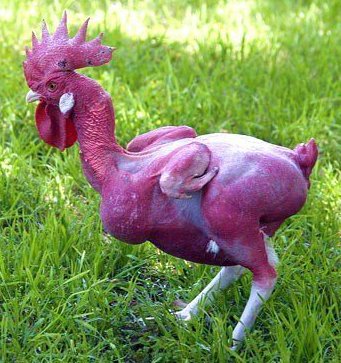 Featherless chicken Blank Meme Template