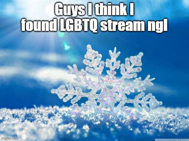 snowflake | Guys I think I found LGBTQ stream ngl | image tagged in snowflake | made w/ Imgflip meme maker