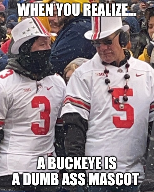 Suckeyes | WHEN YOU REALIZE…; A BUCKEYE IS A DUMB ASS MASCOT | image tagged in college football,ohio state buckeyes,michigan football | made w/ Imgflip meme maker