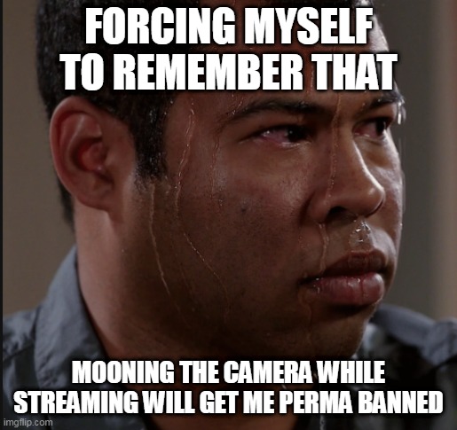 Sweating Man |  FORCING MYSELF TO REMEMBER THAT; MOONING THE CAMERA WHILE STREAMING WILL GET ME PERMA BANNED | image tagged in sweating man | made w/ Imgflip meme maker