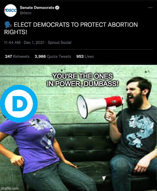 Keep voting for us and we'll continue to be useless. | YOU'RE THE ONES IN POWER, DUMBASS! | image tagged in megaphone guy,democrats,abortion,liberalism | made w/ Imgflip meme maker