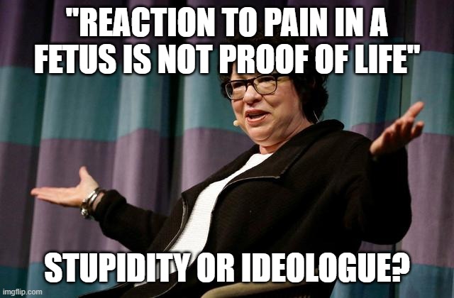 Progressives must be idiots | "REACTION TO PAIN IN A FETUS IS NOT PROOF OF LIFE"; STUPIDITY OR IDEOLOGUE? | image tagged in justice sotomayor | made w/ Imgflip meme maker