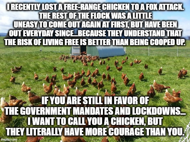chickens > donkeys | I RECENTLY LOST A FREE-RANGE CHICKEN TO A FOX ATTACK.
THE REST OF THE FLOCK WAS A LITTLE UNEASY TO COME OUT AGAIN AT FIRST, BUT HAVE BEEN OUT EVERYDAY SINCE...BECAUSE THEY UNDERSTAND THAT THE RISK OF LIVING FREE IS BETTER THAN BEING COOPED UP. IF YOU ARE STILL IN FAVOR OF THE GOVERNMENT MANDATES AND LOCKDOWNS...
I WANT TO CALL YOU A CHICKEN, BUT THEY LITERALLY HAVE MORE COURAGE THAN YOU. | image tagged in free range,coronavirus,covid-19,lockdown,masks,chicken | made w/ Imgflip meme maker