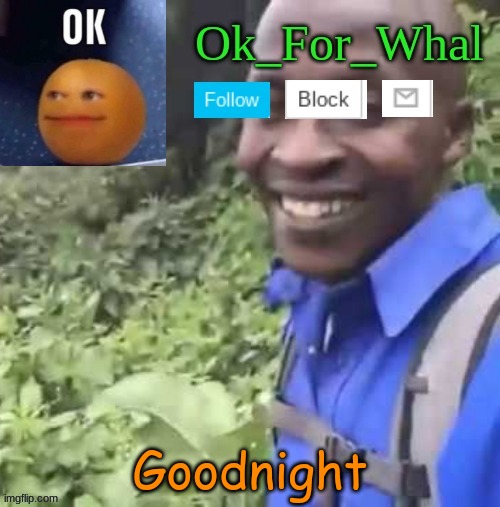 goodnight | Goodnight | image tagged in ok_for_what temp | made w/ Imgflip meme maker