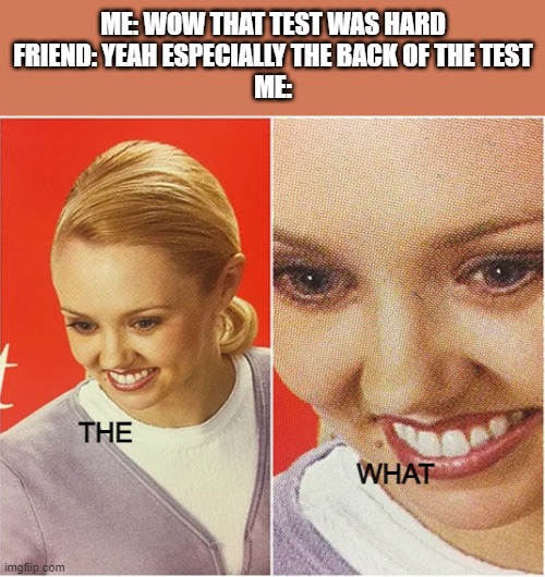The back | ME: WOW THAT TEST WAS HARD
FRIEND: YEAH ESPECIALLY THE BACK OF THE TEST
ME:; THE; WHAT | image tagged in the what blank | made w/ Imgflip meme maker