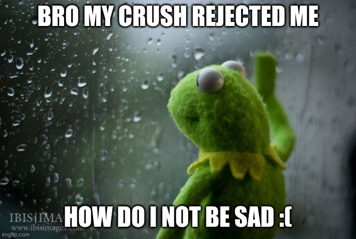im too depressed to do anything now... | BRO MY CRUSH REJECTED ME; HOW DO I NOT BE SAD :( | image tagged in kermit window,depression,sad | made w/ Imgflip meme maker