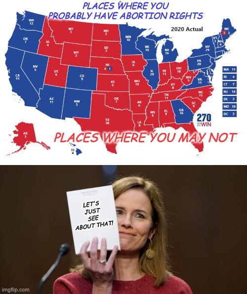 PLACES WHERE YOU PROBABLY HAVE ABORTION RIGHTS PLACES WHERE YOU MAY NOT LET'S JUST SEE ABOUT THAT! | image tagged in amy comey barrett | made w/ Imgflip meme maker